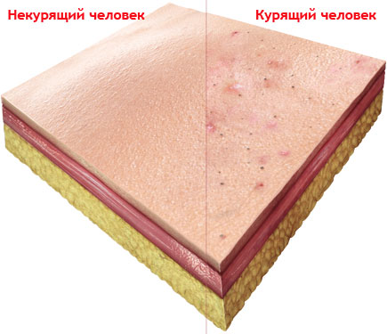 skin_m.jpg