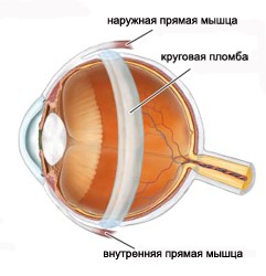 oftal21_5.jpg oftal21_5.jpg